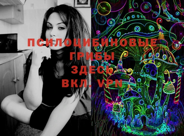 соль ск Новокубанск