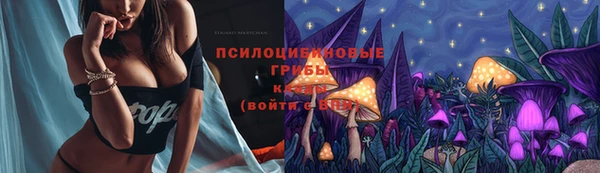 мескалин Нязепетровск