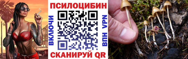 как найти закладки  Михайловск  Галлюциногенные грибы GOLDEN TEACHER 