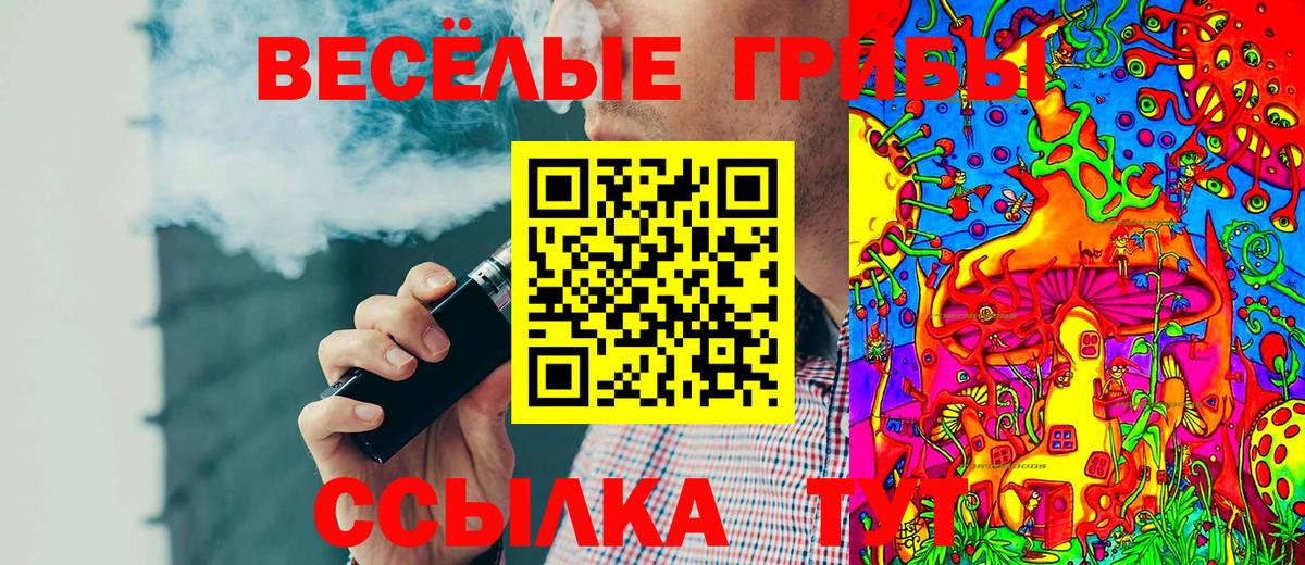 Михайловск  Псилоцибиновые грибы Magic Shrooms  Вход с VPN  Галлюциногенные грибы мицелий 