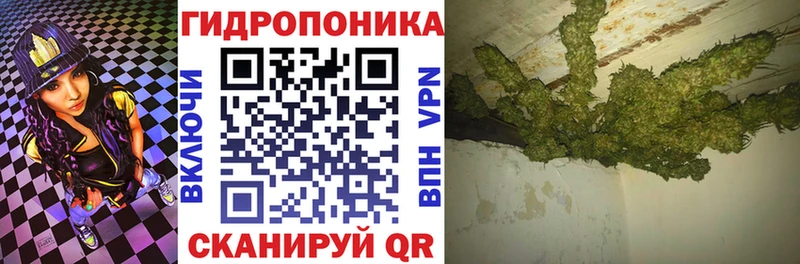 купить наркотик  Михайловск  Бошки Шишки индика 